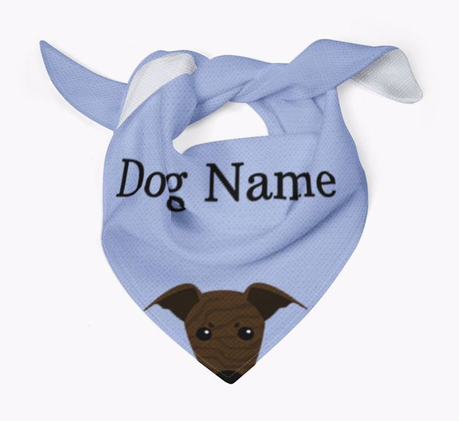 Whippet bandana sale